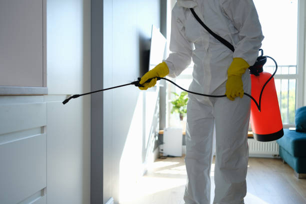 Best Mold Cleaning Services  in North Mankato, MN