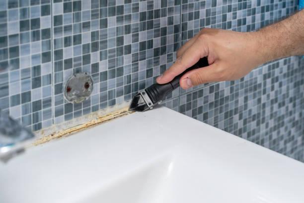 Home Mold Removal in North Mankato, MN