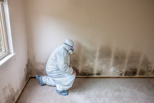 Water Damage Restoration in North Mankato, MN